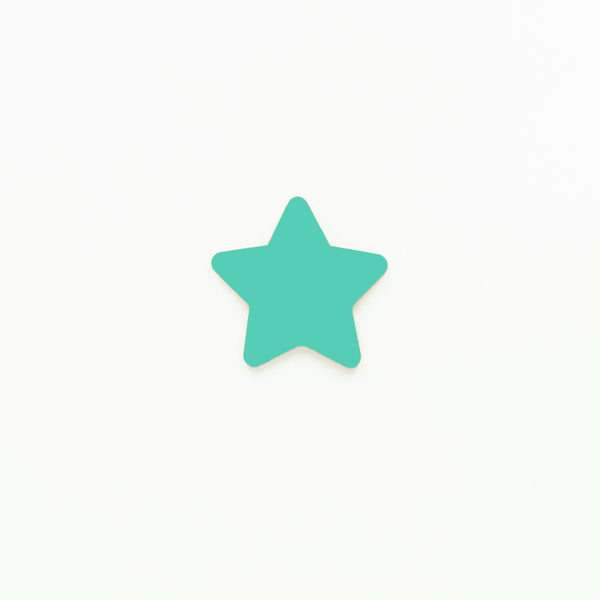 Star Disc Blank 50mm Diameter | 3mm Acrylic Cake Toppers Melbourne